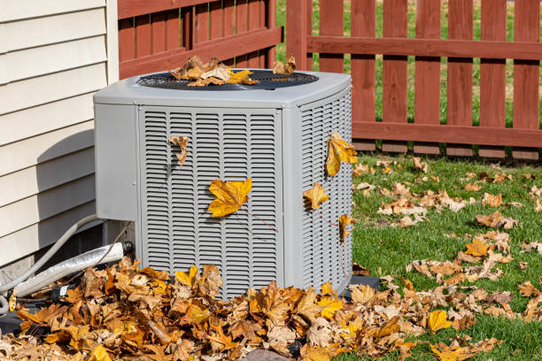 Best Local HVAC companies  in Darlington, WI
